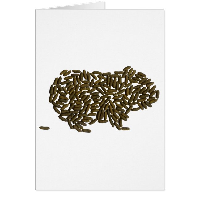 Cartão Cobaia clássica (Frente)