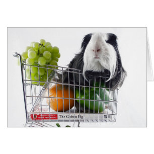 Cartão Cobaia shopping spree