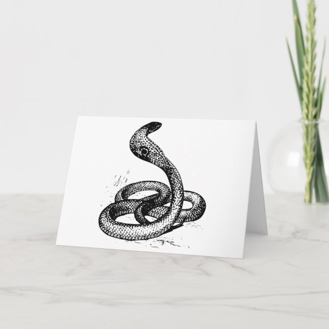 Cartão Cobra (Frente)