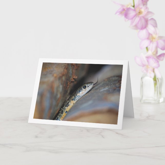 Cartão Cobra de ferradura (Orquídea)