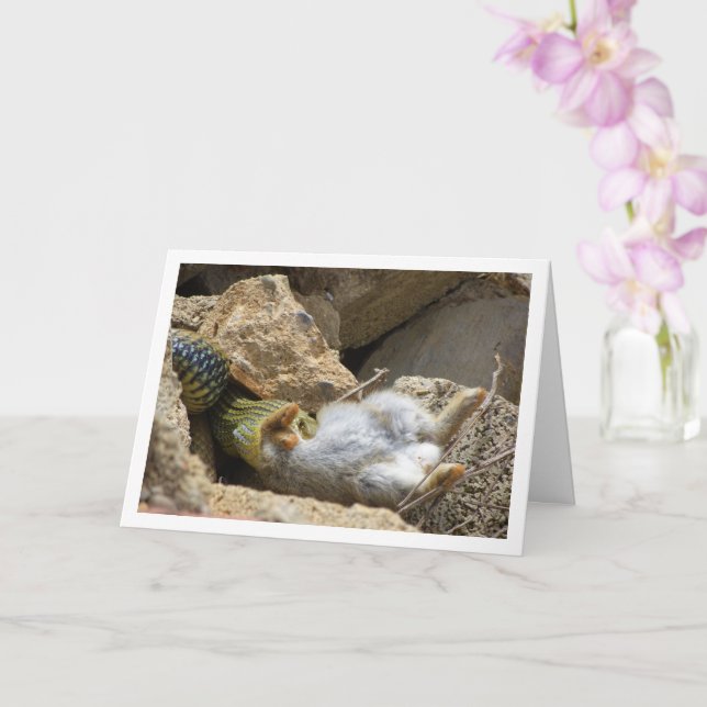 Cartão Cobra Montpellier Feasting on Rabbit (Orquídea)