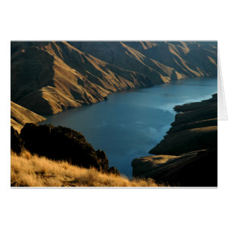 Cartão COBRA SILENCIADO: Rio de dezembro