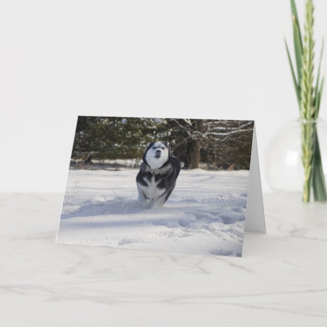 Cartão Cobrança (Frente)