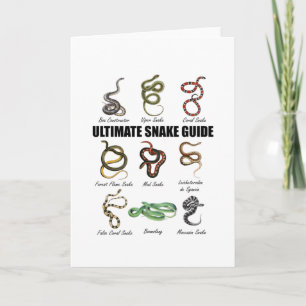Cartão Cobras Crianças Educacional Serpente Zookeeper Rép