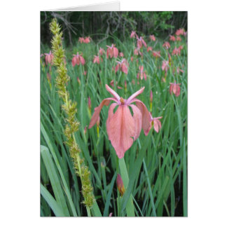 Cartão Cobre Iris