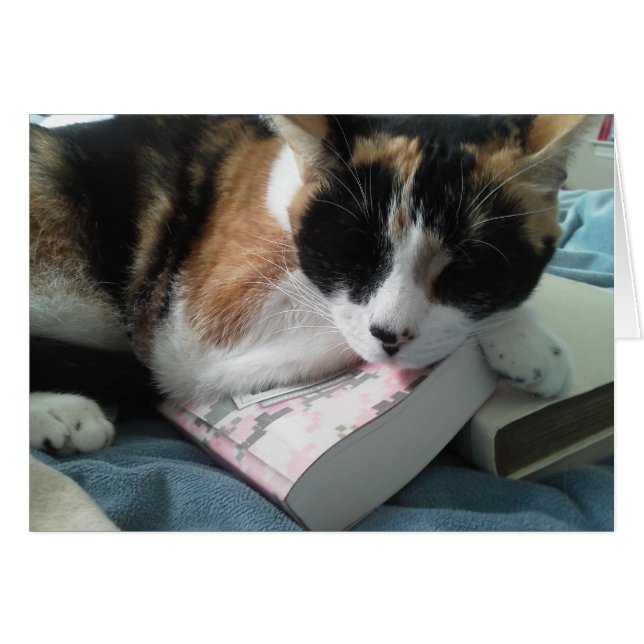 Cartão cochilo (Frente horizontal)