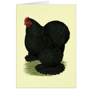 Cartão Cochim: Black Hen