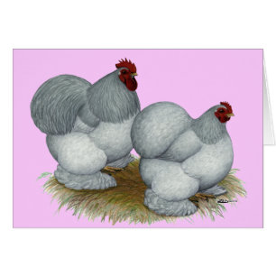 Cartão Cochin: Azul-próprio