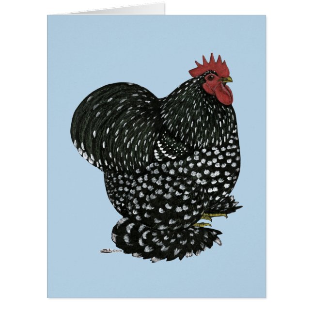 Cartão Cochin: Galo Mottled (Frente)