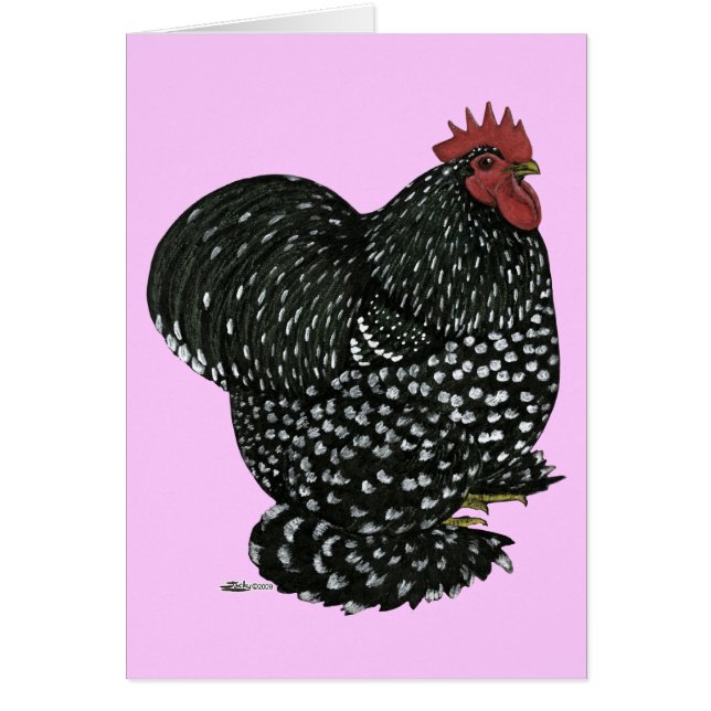 Cartão Cochin: Mottle Negro (Frente)