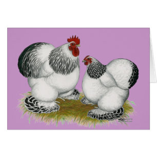 Cartão Cochins: Bantams Columbianos