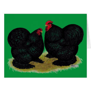 Cartão Cochins Black Bantam Pair
