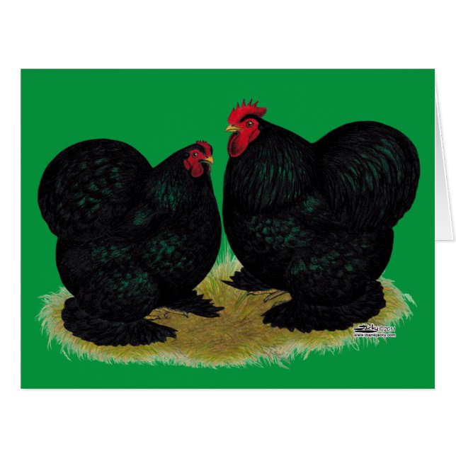 Cartão Cochins Black Bantam Pair (Frente horizontal)