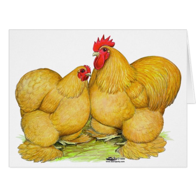 Cartão Cochins Buff Pair (Frente horizontal)