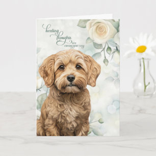Cartão Cockapoo Cachorro Rosas Brancas e Verde Salva Recu