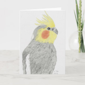 Cartão Cockatiel Art Greeting Card