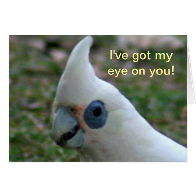 Cartão Cockatoa de olhos azuis (Frente Horizontal)