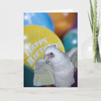 Cartão Cockatoo Birthday Card