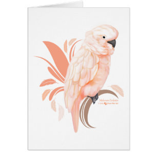 Cartão Cockatoo Molucano