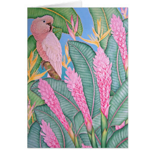 Cartão Cockatoo molucano