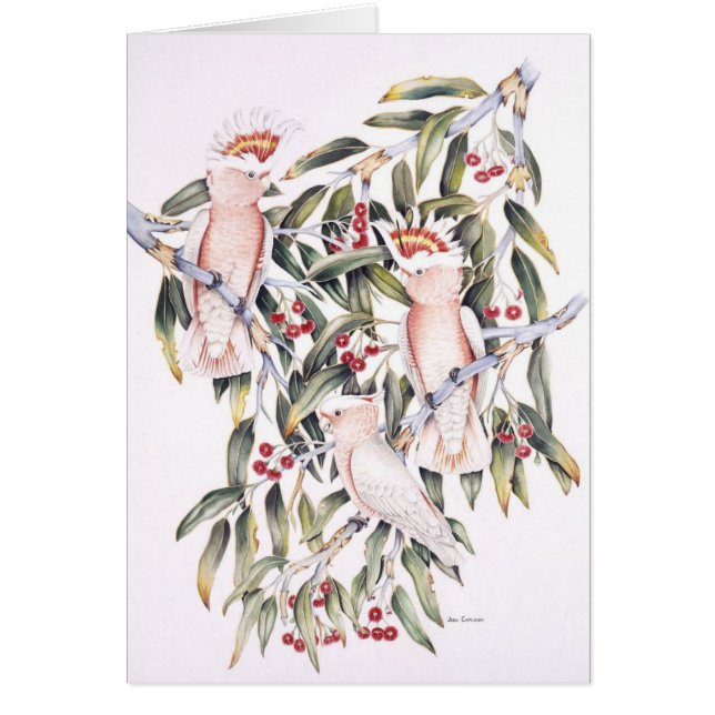 Cartão Cockatoos principais de Mitchell (Frente)