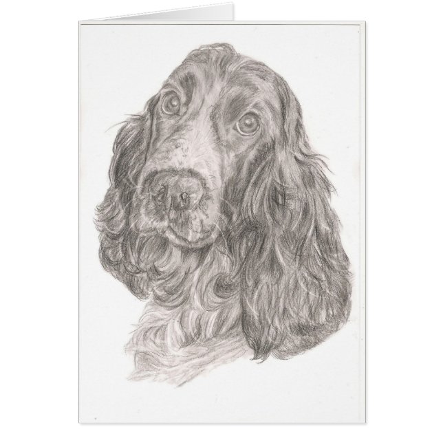 Cartão Cocker spaniel (Frente)