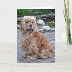Cartão Cocker Spaniel Blonde Dog Blank Greeting Card