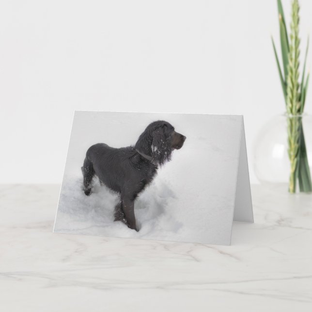 Cartão Cocker Spaniel Card (Frente)