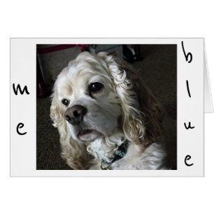 CARTÃO COCKER SPANIEL IS "BLUE" WITHOUT "YOU"