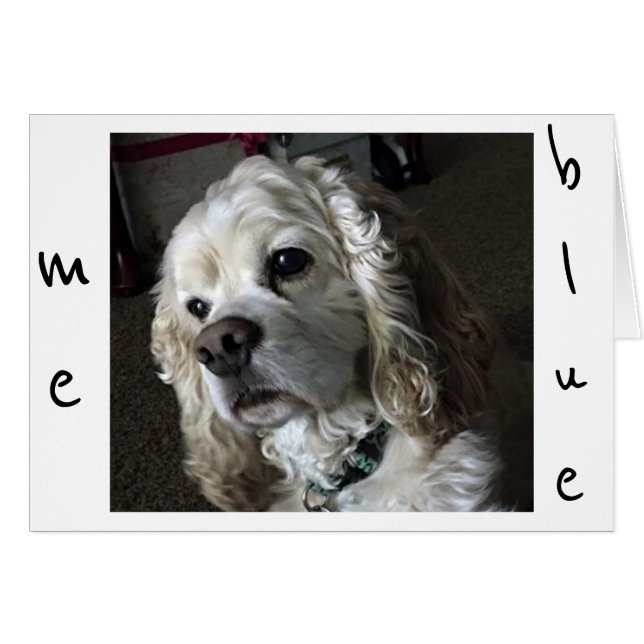 CARTÃO COCKER SPANIEL IS "BLUE" WITHOUT "YOU" (Frente Horizontal)