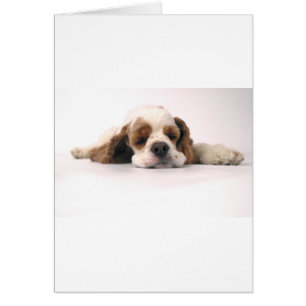 Cartão Cocker spaniel vermelho/branco do sono