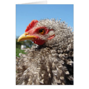 Cartão Cockeral de Frasco