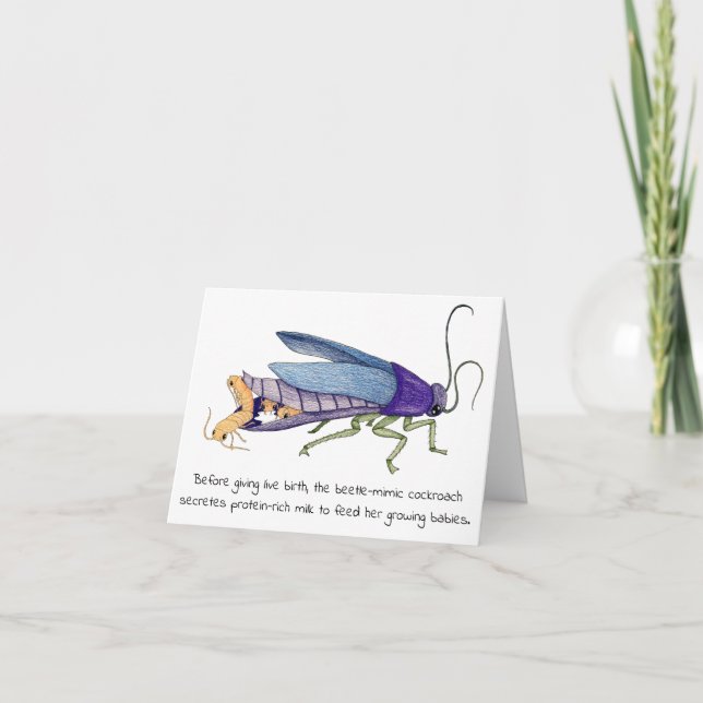 Cartão Cockroach Mother's Day Card (Frente)
