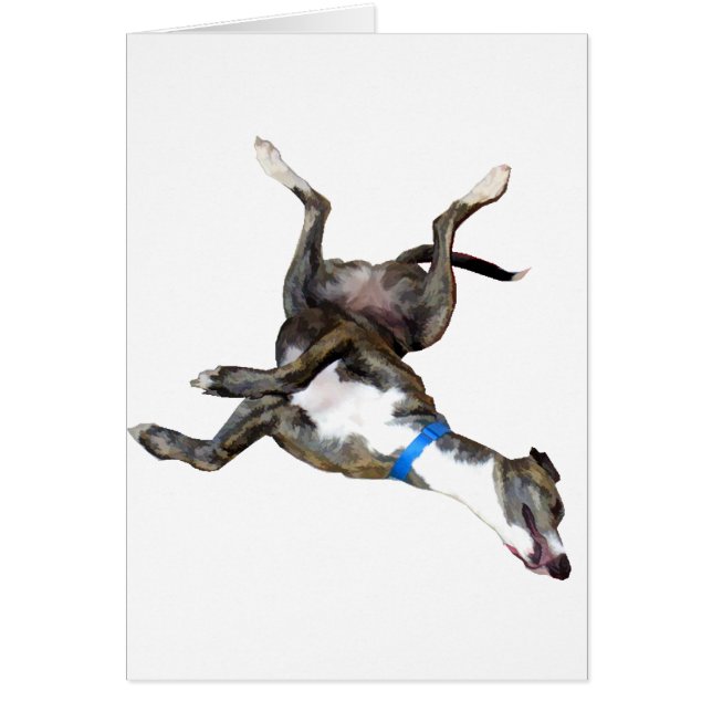 Cartão Cockroaching (Frente)