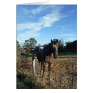 Cartão Coco e cavalo castanho creme