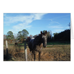 Cartão Coco e cavalo castanho creme