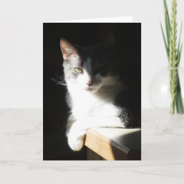 Cartão "Coco in the Light I." Greeting Card