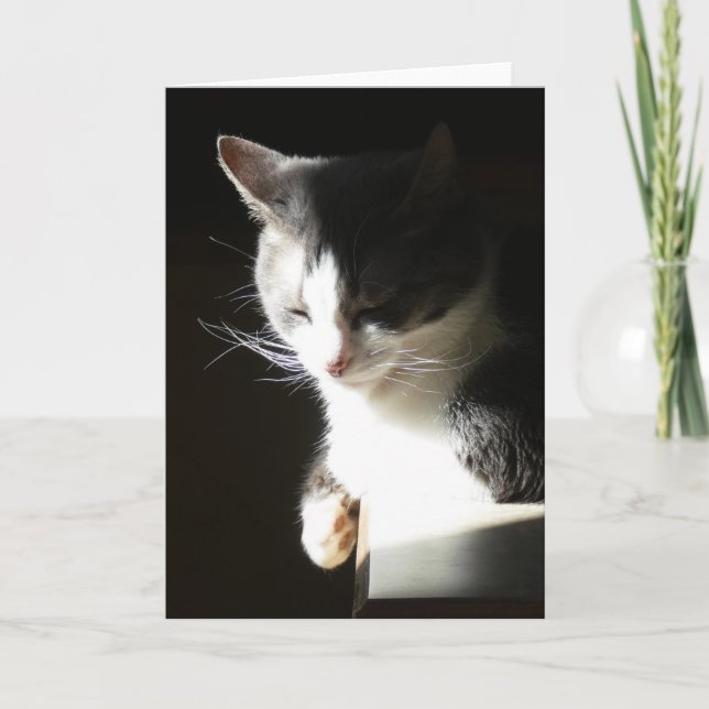 Cartão "Coco in the Light II." Greeting Card (Frente)