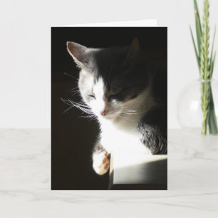 Cartão "Coco in the Light II." Greeting Card