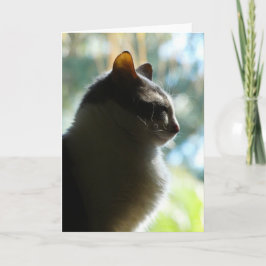 Cartão "Coco in the Window." Greeting Card