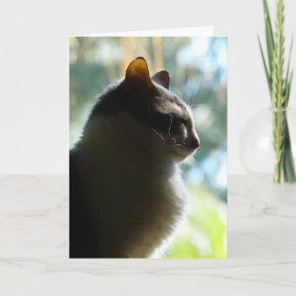 Cartão "Coco in the Window." Greeting Card