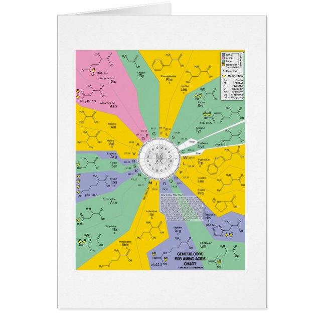 Cartão Código genético para ácidos aminados (roda da (Frente)