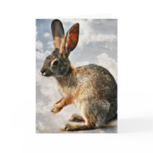 Coelhinho de Oração nos Céus