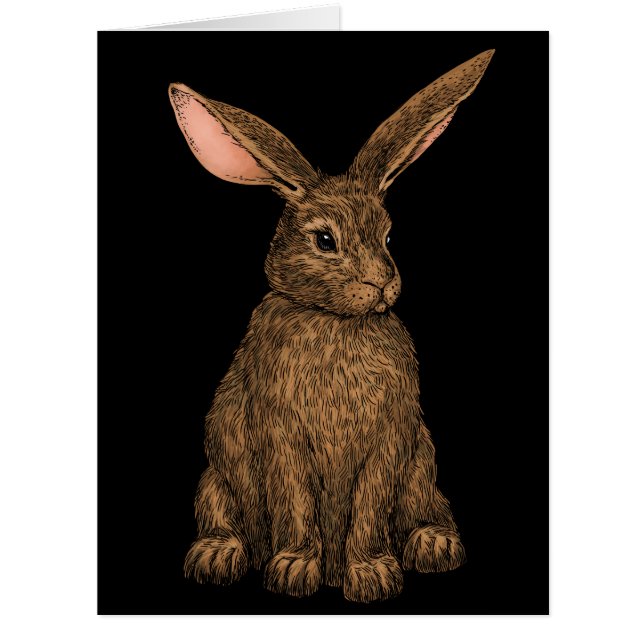 Cartão Coelho 3 (Frente)