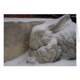 Cartão Coelho Branco