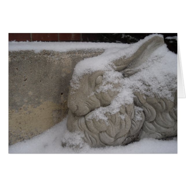 Cartão Coelho Branco (Frente horizontal)