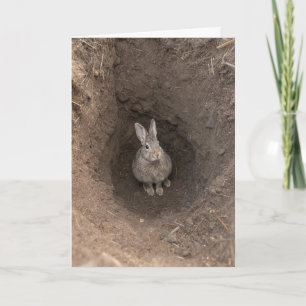 Cartão Coelho de Aniversário em Buraco de Terra