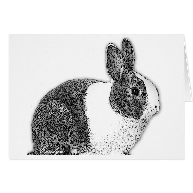 Cartão Coelho holandês (Frente horizontal)