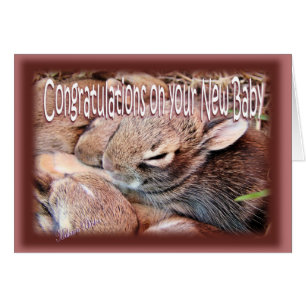 Cartão Coelho-newbaby-personalize