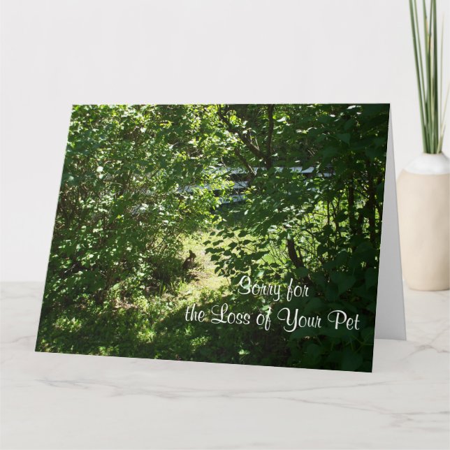 Cartão Coelho - Perda de um Pet (Frente)